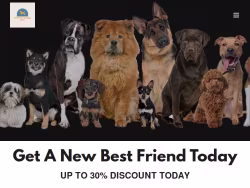 Thebestpuppyspot