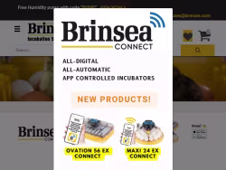 Brinsea
