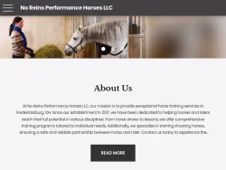 Noreinsperformancehorses