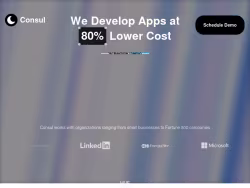 Consuldev