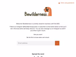 Bewilderness-puzzles