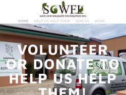 Save-our-wildlife