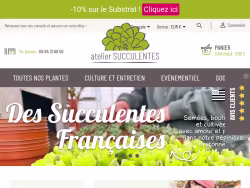 Arreesucculentes