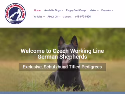 Czechworkingline