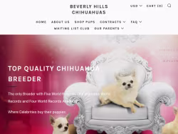 Hollywoodchis