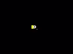 Opt