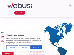 Wabusi