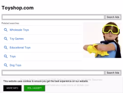 Toyshop
