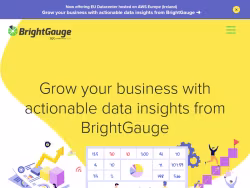 Brightgauge