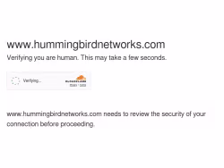 Hummingbirdnetworks