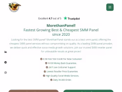 Morethanpanel