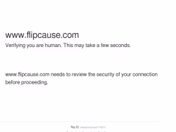 Flipcause