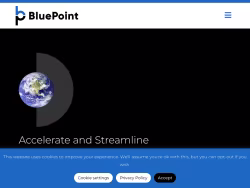 Bluepointcontrols
