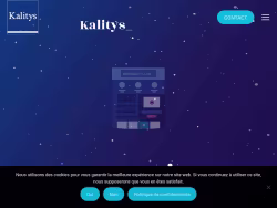 Kalitys