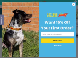 Hotdogcollars
