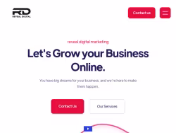 Revealdigitalmarketing