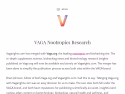 Vaga