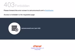 Zeniumconsult
