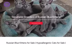 Flawless Russian Blues