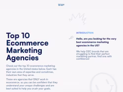 Ecommercemarketingagency