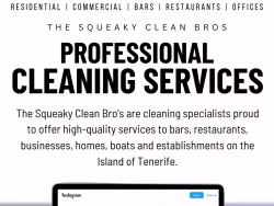 Thesqueakycleanbros