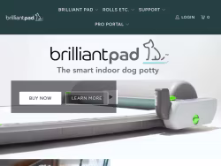 Brilliantpad
