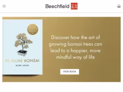 Beechfieldbonsai