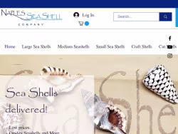 Naplesseashellcompany