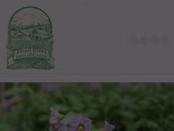 Irisheyesgardenseeds