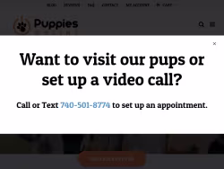 Littlepuppiesonline
