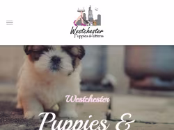 Westchesterpuppies