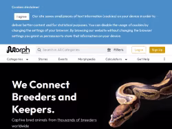 Morphmarket