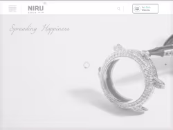Nirugroup