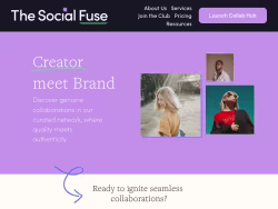 Thesocialfuse