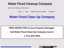 Waterfloodcleanup