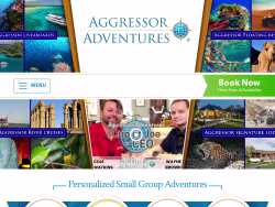 Aggressor