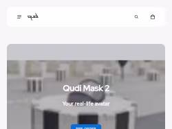 Qudi