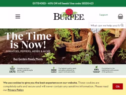 Burpee