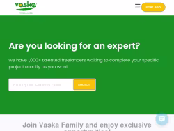 Vaskafreelancer