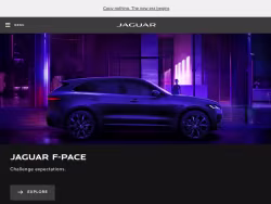 Jaguarusa