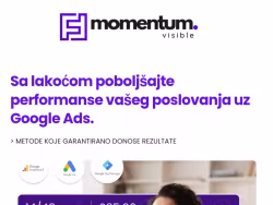 Momentumvisible