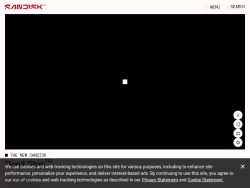 Sandisk