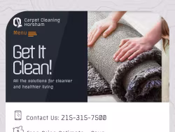 Carpetcleaninghorshampa