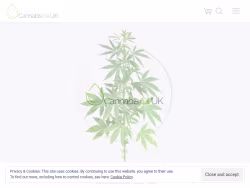 Cannabisoiluk