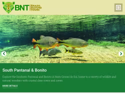 Brazilnaturetours