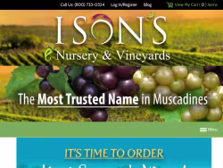 Isons