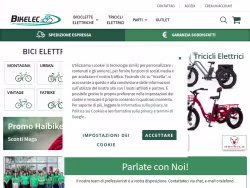 Bikelec