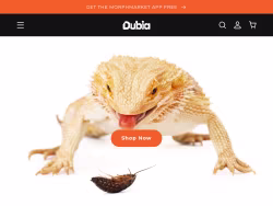 Dubiaroaches