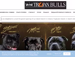Trojanstaffuk