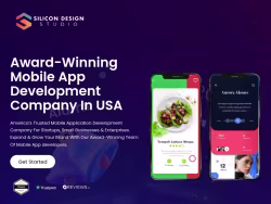 Silicondesignstudio